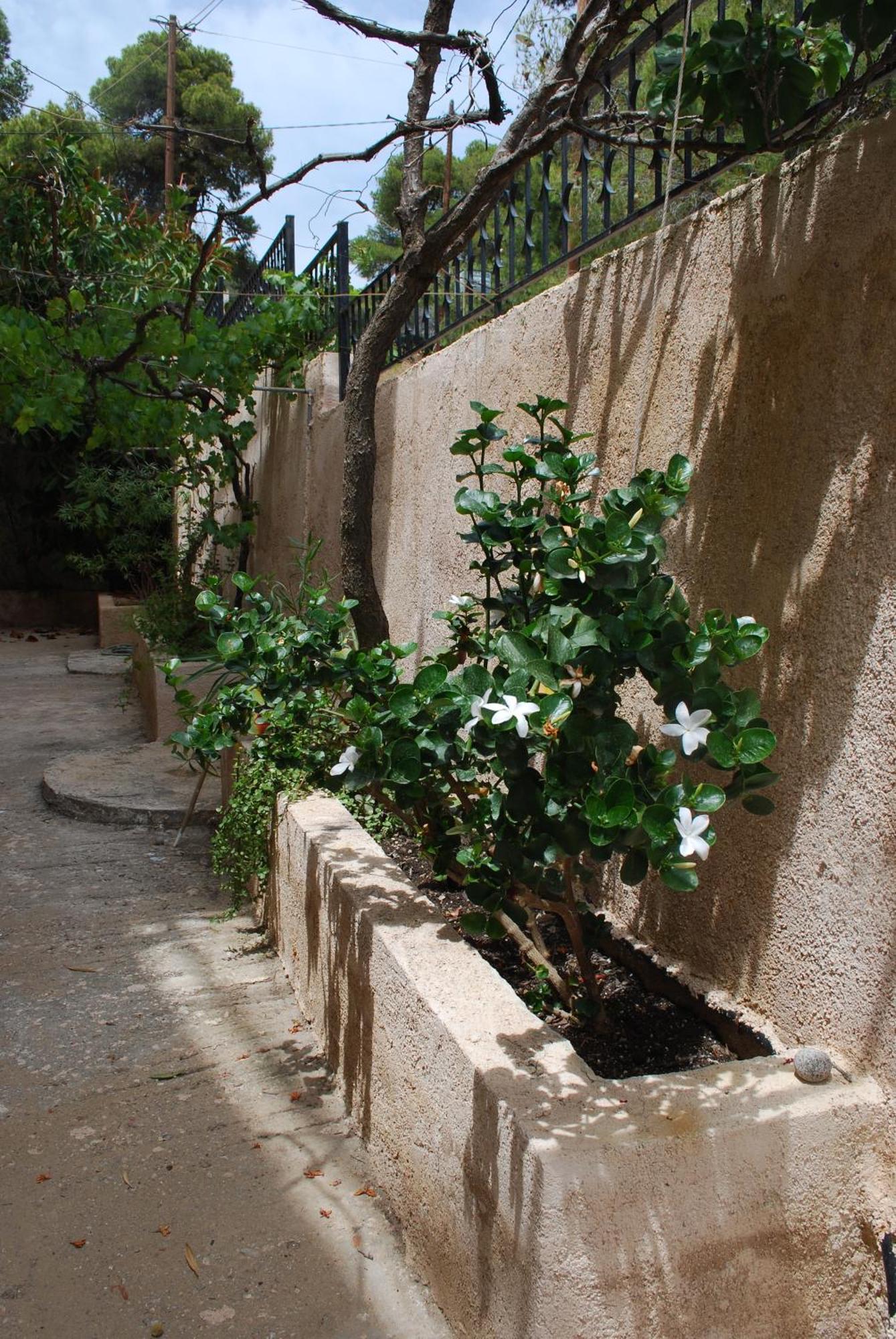 Sunset Rooms Agia Marina  المظهر الخارجي الصورة